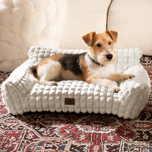 Cute Dog Beds for Small/Medium Dogs/Cats, Washable Dog Sofa Faux Rabbit Fur Pet Bed, Supportive Dog Couch with Removable Zipper Cover for Indoor Cats/Dog, 30 x 20 x10inch, Off White - color: Off White, size: Medium: 30"L x 20"W x 10"Th
