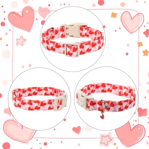 Valentines Dog Collar for Puppy Small Dogs - Cute Pink Girl Dog Collar, Doodle Heart Pattern, Adjustable Valentine Dog Collars with Red Heart Charm XS - color: Doodle Heart, size: XS