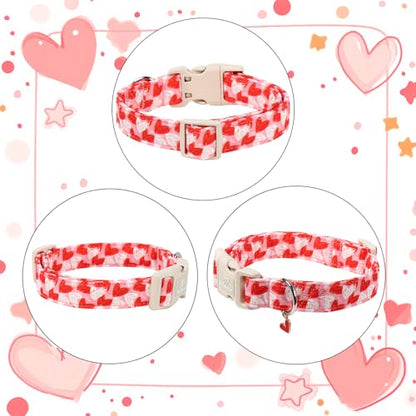 Valentines Dog Collar for Puppy Small Dogs - Cute Pink Girl Dog Collar, Doodle Heart Pattern, Adjustable Valentine Dog Collars with Red Heart Charm XS - color: Doodle Heart, size: XS