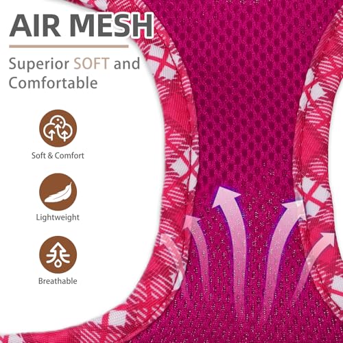 PUPTECK Dog Harness and Leash Set for Small Medium Dogs No Pull Step-in Soft Mesh Puppy Cat Vest Harnesses Reflective at Night, Fuchsia, M - color: #1 Fuchisa(Basic Mesh), size: M(CHEST 16"-18", 11-18 lbs)