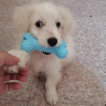 Dog Chew Toys, 7pcs Dog Puppies Teething Chewing Toy Set with Ball and Colorful Ropes, Interactive Pet Toys for Small and Medium Dogs (Blue) - color: Blue
