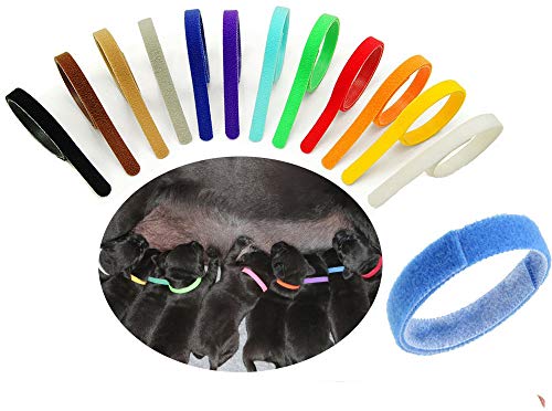 12 Pcs Puppy Whelping Collars Multicolor Adjustable Double Sided Reusable Comfortable Soft Fabric ID Bands for Small Dogs Pet Cat Kittens (Colorful) - color: Colorful