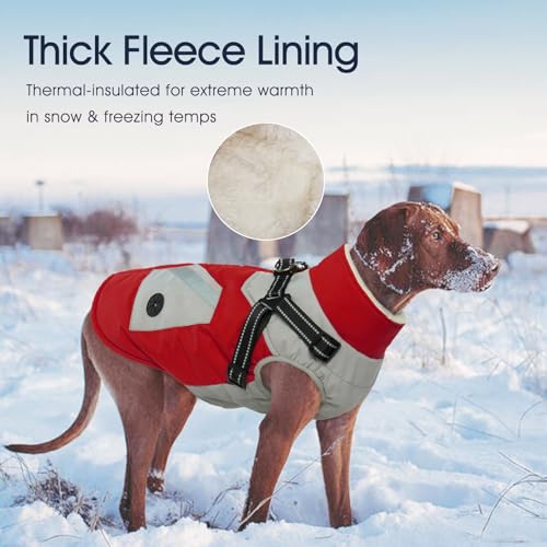 IECOii Dog Coat with Harness Built in - Red, Large - Waterproof Winter Coat, Fleece Lined Snow Jacket for Dogs - color: Red, size: Large(Chest:24.4 in)