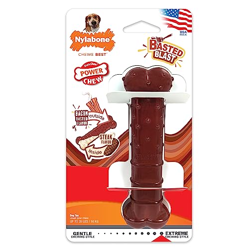 Nylabone Textured Bone Power Chew Toy for Dogs, Durable & Tough Dog Toys for Aggressive Chewers, Basted Blast Bacon & Steak Flavor, Medium Dogs - Up to 35 lbs, 1 Count - size: Medium