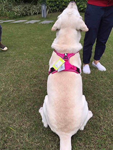 SGODA Dog Harness Nylon with Reflective Dog Vest, Medium, Pink - color: Fuchsia, size: Medium Chest 22-27"