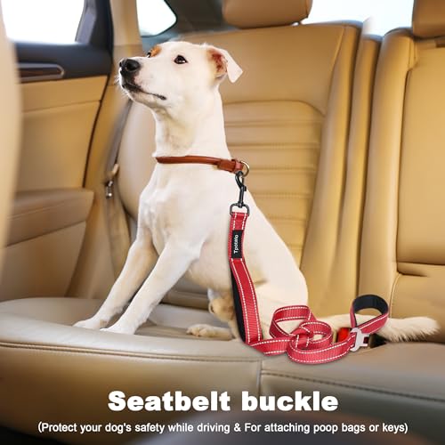 6 Foot Red Dog Leashes for Large Medium and Small Breed Dogs That Pull,Reflective Nylon Heavy Duty Dog Leash with 2 Comfortable Padded Traffic Handles and Car Seat Belt for Walking and Training - color: Fiery red