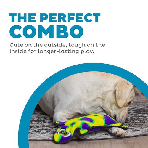 Outward Hound Durablez Gecko – Squeaky Plush Dog Toy, No Stuffing for Less Mess, Interactive & Tough, 4 Jumbo Squeakers, Puppies & Dogs, Large, 17.5" - color: Green Gecko, size: Large (Pack of 1)