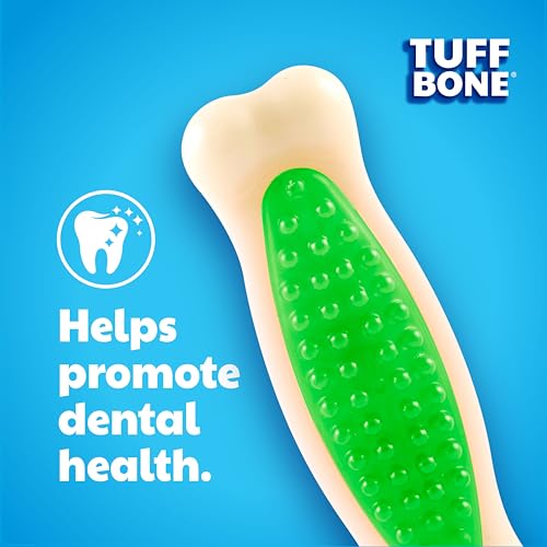 Hartz Chew 'n Clean Tuff Bone Bacon Scented Dental Dog Chew Toy - Large (Pack of 2) - color: green, orange, pink, size: Large (Pack of 2)