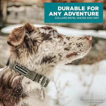 Wilderdog Waterproof Dog Collar- Repels Water & Dirt - Large 17"-24" - Olive - color: Olive, size: Large