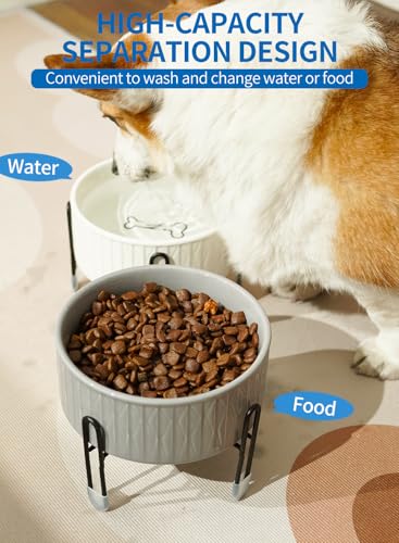32 oz Ceramic Dog Cat Bowls with Elevated Metal Stand, 2 Heights Elevated, 6.5 Inch Ceramic Round Pet Food and Water Feeder Bowl Dish for Cats & Dogs, White & Grey - color: White & Grey