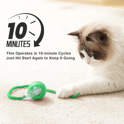 Goosheep 2025 New 1Pack Cat Ball Kitten Toys for Indoor Interactive Kitty Ball Toy Speedy Tail 360° Automatic Rolling for Dog, Cat(Green) - size: 1 Pack