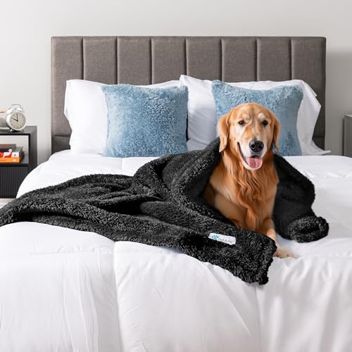 PETAMI Fluffy Fleece CAT and Dog Throw Blanket, Black, X-Large - color: Black, size: X-Large (60x80)