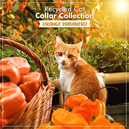 Pawtitas Recycled Orange Reflective Cat Collar – Eco-Friendly Breakaway Safety Buckle, Adjustable Kitten & Adult Collar with Removable Bell and High-Visibility Strap - color: Recycled Orange