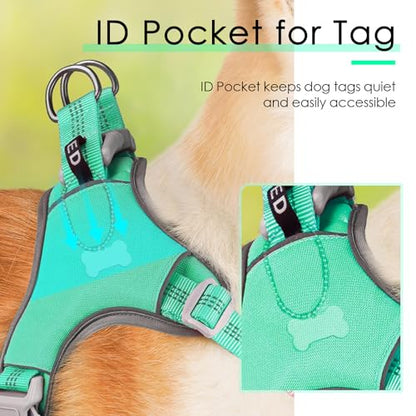 ThinkPet No-Pull Harness, Escape Proof Step-in Reflective Dog Vest Adjustable Breathable Halter Harness with Back/Front Clip for Better Control - color: Teal, size: Medium