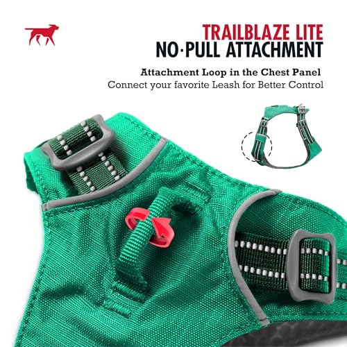 Tuff Pupper All-Day Wear Dog Harness | for Walking, Trail Running, Hiking | Front & Back Leash Clips | Reflective Trim | Easy On/Off Buckles | Lightweight Breathable | No Pull Design (Small, Teal) - color: Tropical Teal, size: Small