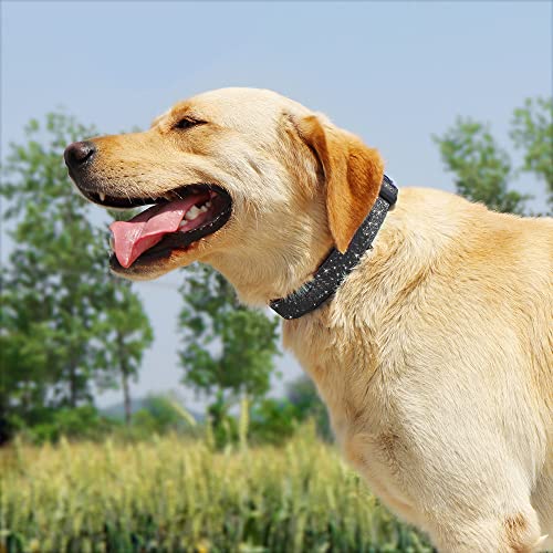 TDTOK Glittering Basic Dog Collar, Comfy & Durable Bling Dog Collar for Small Medium Large Dogs with Eco-Friendly Plastic Buckle, Adjustable Stylish Nylon Dog Collars, Fit Necks: 9.8-22.4’’ - color: Black, size: L