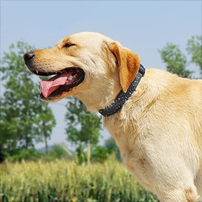 TDTOK Glittering Basic Dog Collar, Comfy & Durable Bling Dog Collar for Small Medium Large Dogs with Eco-Friendly Plastic Buckle, Adjustable Stylish Nylon Dog Collars, Fit Necks: 9.8-22.4’’ - color: Black, size: M