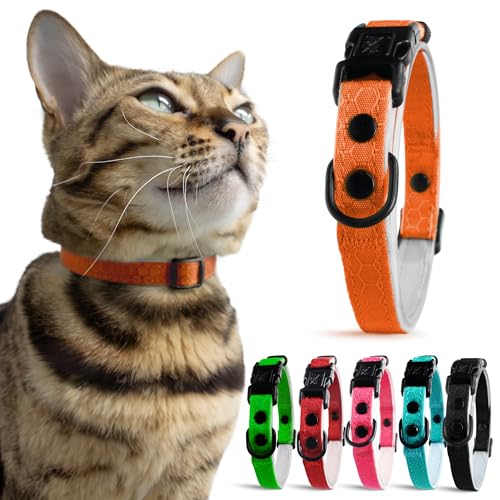 OutdoorBengal Orange Breakaway Kitten Collar - Ultra Safe Quick Release Cat Collar for Kittens Under 6 Months – Soft-Padded, Lightweight, Adjustable, Thin and Comfortable, No Bell (Orange, Kitten) - color: Saffron Orange, size: Kitten