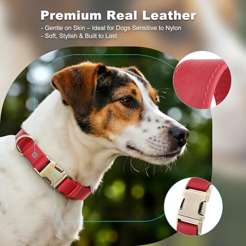 Plutus Pet Genuine Leather Dog Collar – Adjustable Pet Collar with Quick Release Metal Buckle, Soft Real Leather for Small Medium Large Dogs, Heavy Duty & Skin-Friendly (Red, XS) - color: Red, size: XS