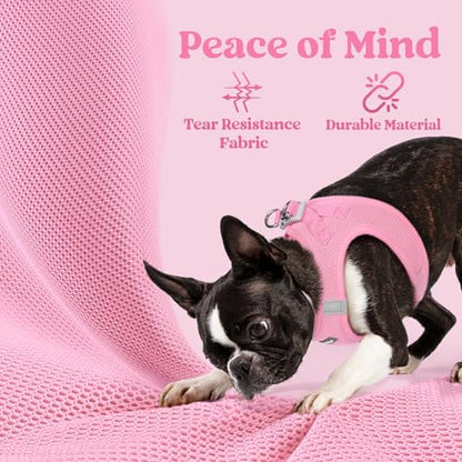 rabbitgoo Small Dog Harness, Step-in Soft Mesh Puppy Vest with Safety Buckle, Breathable Reflective Pet Harness for Extra Small Dogs, Light Pink XXXS - color: Light Pink, size: Xxxs(chest:10.8"-11.8")