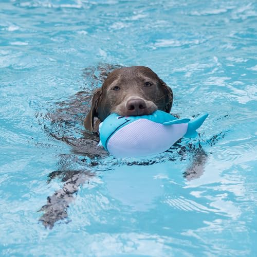 Fringe Studio Splashy Floating Dog Toys, Pet Shop Collection (640006) - color: Splashy