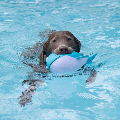 Fringe Studio Splashy Floating Dog Toys, Pet Shop Collection (640006) - color: Splashy