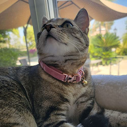 Sam & Maui Velvet Adjustable Cat Collar with Metal Rose Gold Buckle and Bell Rose Pink C - color: Rose Pink