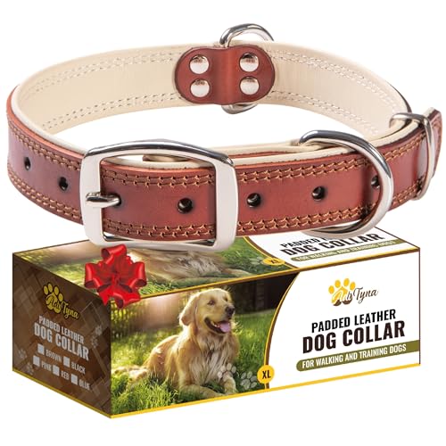 ADITYNA Heavy-Duty Big Leather Dog Collar for Extra-Large Dogs - Soft Padded for Comfort - XL Dog Collar for Walking, Training, and Hiking - color: Brown, size: Extra-Large: Fit 22-30" Neck
