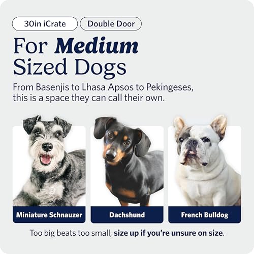 MidWest Homes for Pets 30-Inch iCrate for Medium Breeds, 21-40 lbs, Single Door Folding Dog Crate with Divider Panel, Leak-Proof Tray & Secure Latch, Portable, Durable & Easy to Assemble - size: 30.7"L x 19.3"W x 21.5"H