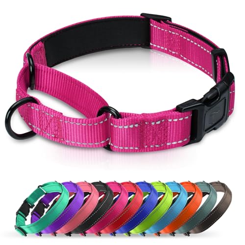 Martingale Collar for Dogs with Quick Release Buckle, Reflective Soft Padded & Escape Proof, Adjustable Nylon Dog Collars for Training & Daily Walking (Hotpink,M) - color: Hot Pink, size: M:width 1"neck 14.5-19"