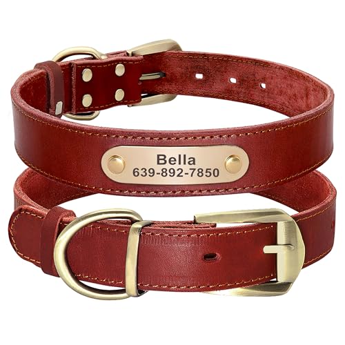 Didog Genuine Leather Dog Collars with Engraved Nameplate, Personalized Soft Leather Dog Collar with Custom ID Tag, Brown/Green/Red for Small Dogs (M,Red) - color: Red, size: M: Fit Neck 11-15"(13-22 lbs)