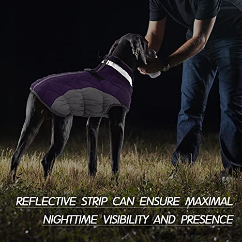 FUAMEY Dog Coat for Small Dogs,Waterproof Dog Winter Jacket with Harness Built in Puppy Cold Weather Coats Reflective Pet Vest with Zipper Warm Fleece Dogs Snowsuit Windproof Purple XS - color: Purple, size: XS(chest:14in)