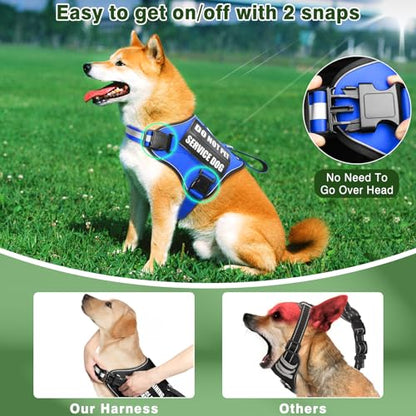 Service Dog Vest Harness and Leash Set+10 Patches,No Pull&Easy Walk Reflective Dog Harness with Soft Padded Handle for Training/Everyday,Fit Small/Medium/Large/Extra-Large Dogs (Blue S) - color: Blue, size: Small