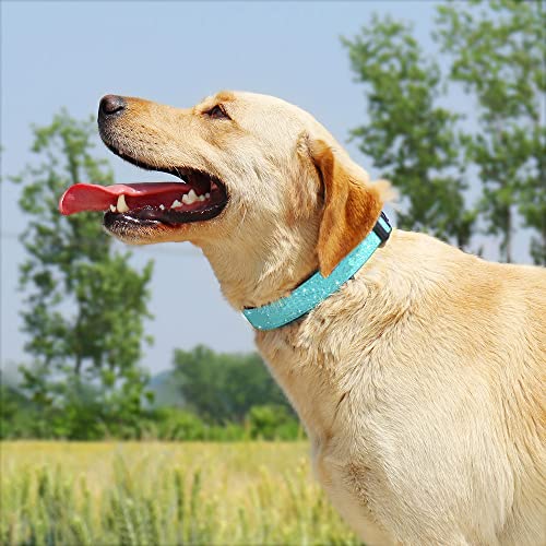 TDTOK Glittering Basic Dog Collar, Comfy & Durable Bling Dog Collar for Small Medium Large Dogs with Eco-Friendly Plastic Buckle, Adjustable Stylish Nylon Dog Collars, Fit Necks: 9.8-22.4’’ - color: Mint Green, size: L