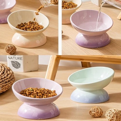 Cute Ceramic Tilted Food Bowls for Indoor Cats Cat Bowl Elevated Cat Bowls Whisker Friendly 6.1 Inch Wide 15° Raised Kitten Supplies Dishwasher and Microwave Safe Purple Cats Water Bowl - color: Purple Ceramic Elevated Cat Bowl