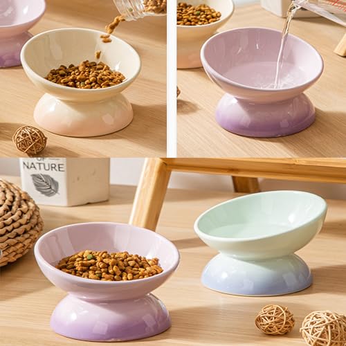 Cat Bowl Elevated Cat Bowls Whisker Friendly Cute Ceramic Tilted Food Bowls for Indoor Cats 6.1 Inch Wide 15° Raised Kitten Supplies Dishwasher and Microwave Safe Yellow Cats Water Bowl - color: Yellow Ceramic Elevated Cat Bowls