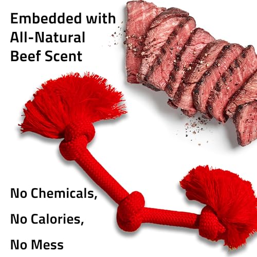 Playology Dog Toys | Dri-Tech Rope Toy Tug of War Rope for Aggressive Chewers | Jumbo Beef Scented Toy - Easy to Clean and Made from Non Toxic Materials - size: Jumbo, style: Beef