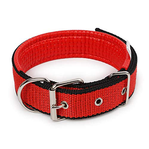 Padded Nylon Dog Collar with Soft Lining, Metal Buckle, Multiple Colors, 3x58cm, Neck Size 38-47cm (Red face and Black Edge) - color: Red face and black edge