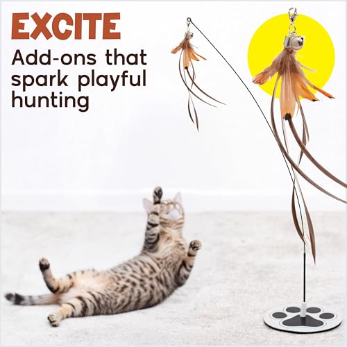 Interactive Cat Toys for Indoor Cats - 5 Replacement Feathers with Bells - Teaser Wand Toy - Self Play Bird Simulation - Bored Adult Feline Hunting Solo Chaser Activity - Kitten Juguetes para Gatos - color: Pounce & Play Bundle