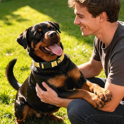 Reflective Dog Collar with Quick Release Buckle - Metal Ring - Adjustable Soft Neoprene Padded Basic Dog Collar for Small Medium Large Dogs (Yellow, Large :Width 1",Neck 15.7-23.6") - color: Yellow, size: Large