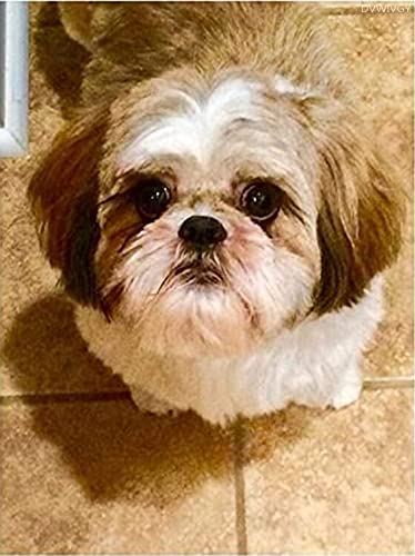 Fun Jigsaw Puzzle 1000 Pieces for Adults Shih Tzu Cute Puppies Puzzles DIY Home Decor Wall Art Fun Game Preschool Toy Gift for Family Dad Mom Wife Friends 29.5 x 20 in - color: As32, size: 1000 Pieces