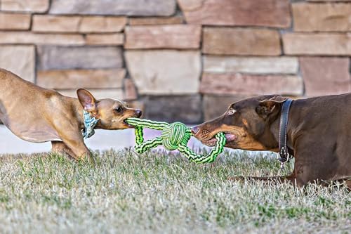 Jolly Pets Knot-N-Chew Large/X Large Gentle Tugger Rope Dog Toy - color: Gentle Tugger, size: Large/Extra Large