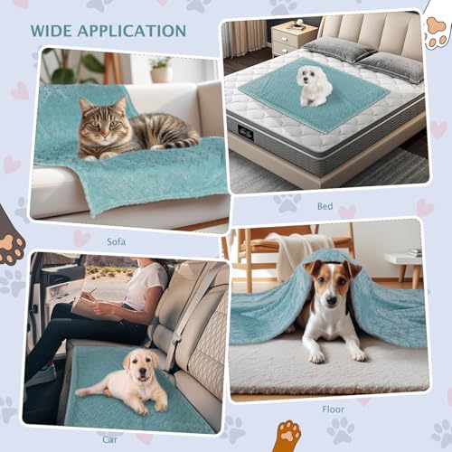 6 Pack Small Dog Blanket, Super Soft Warm Pet Cover Blankets, Wheat Ears Print Puppy Fleece Flannel Blanket for Small Medium Dogs and Cats MW003 - color: Green Wheat Ears, size: 6 Pack of 24x47 Inches