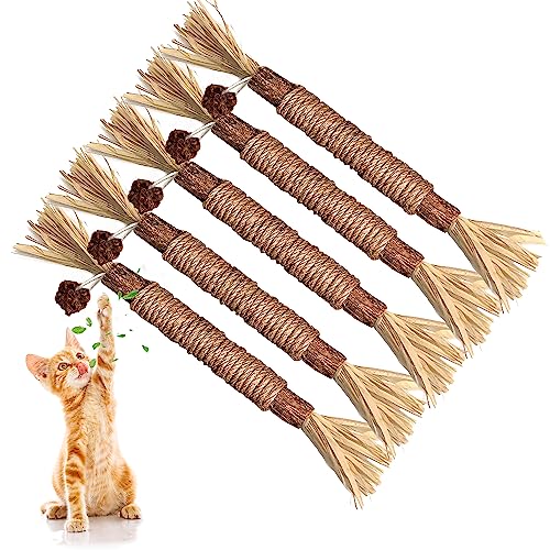GBSYU 5 Pack Silvervine Cat Toy, Silvervines Sticks Cat Toys for Indoor Cats, Cat & Kitten Chew Toys for Aggressive Chewers, Cat Dental Toy for Kitten Teeth Cleaning, Matatabi Silvervine for Cats - size: 5PCS