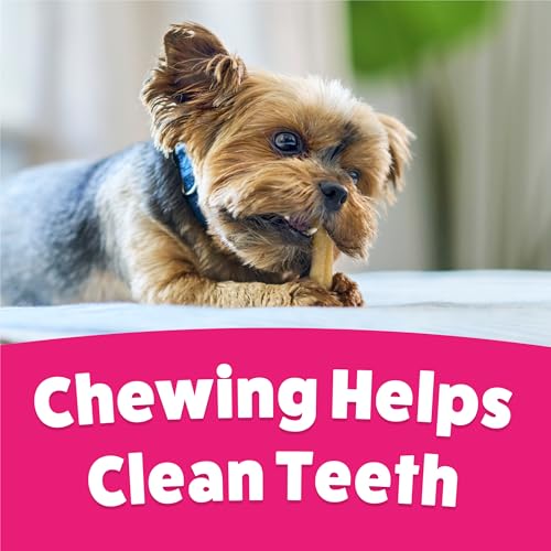 Purina Busy Bone Adult Toy Breed Dog Chew Bone Treats, Tiny - 30 ct. Pouch - size: 30 Count (Pack of 4)