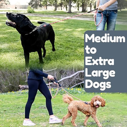 6 Foot Dog Leash, Two Extra Padded Handles, Locking Carabiner Clip, Reflective for Night Visibility, Weatherproof, Heavy Duty Rope Leash, Roam Gear (Pink) - color: Pink
