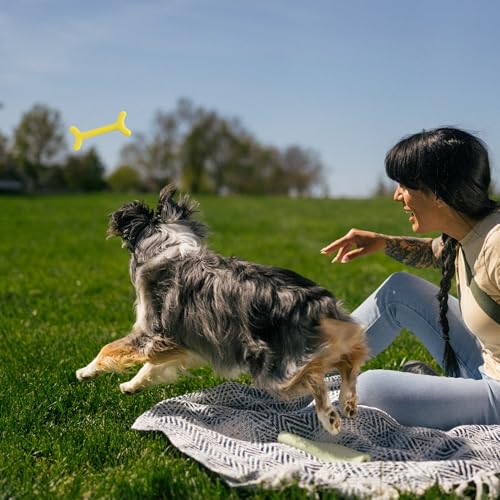 Retriever Dog Toy, Floating Yellow Fetch Stick Toy for Dogs - Natural Rubber & BPA-Free: Made from 85% Natural Rubber, TOSS & Catch: Lightweight and Durable for Endless Play Sessions