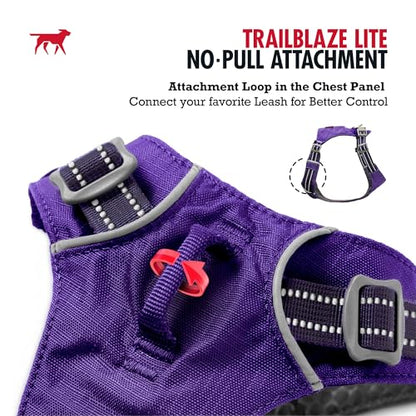 Tuff Pupper All-Day Wear Dog Harness | for Walking, Trail Running, Hiking | Front & Back Leash Clips | Reflective Trim | Easy On/Off Buckles | Lightweight Breathable | No Pull Design (XXS, Purple) - color: Deep Purple, size: XX-Small