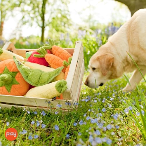 P.L.A.Y. Cute Plush Dog Toys - Fruit & Vegetable Themed Durable Squeaker Chew Toy, Great for Puppies & Small, Medium, Large Dogs - Machine Washable, Recycled Materials (Garden Fresh Zucchini, Medium) - color: Zucchini, size: Medium