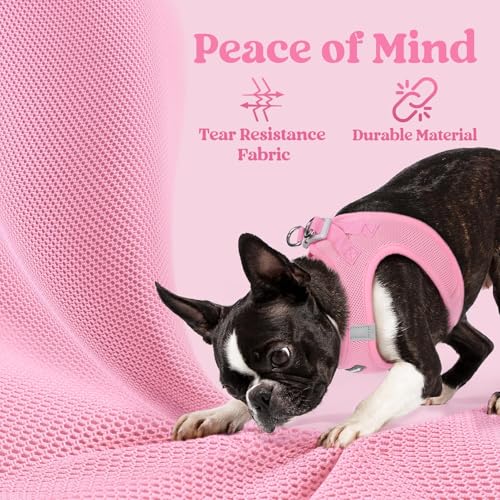 rabbitgoo Small Dog Harness, Step-in Soft Mesh Puppy Vest with Safety Buckle, Breathable Reflective Pet Harness for Small Medium Dogs, Light Pink L - color: Light Pink, size: L(chest:18.2"-20.5")